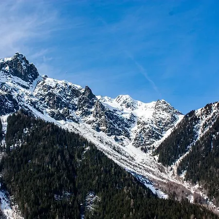 Duplex Les Grands Montets Lejlighed Chamonix
