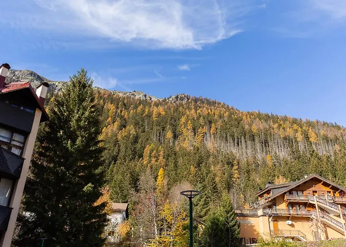 Duplex Les Grands Montets Apartment *